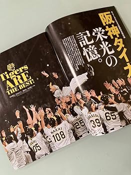 貴重‼️阪神タイガース野村監督掛け軸‼️ 61Or4PEOezL._AC_UL210_SR210,
